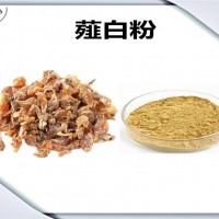 薤白浓缩粉 可定制 生产厂家