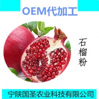 石榴粉 石榴果汁粉水果粉饮品原料厂家批发现货包邮喷雾干燥粉