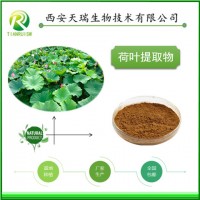 荷叶萃取物厂家供应荷叶粉