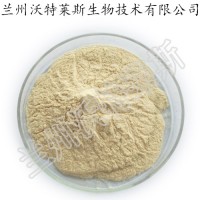 白芸豆提取物 白芸豆粉 大量库存  批发价格