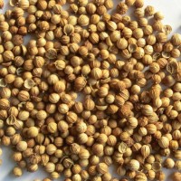 香辛料 小茴香粉 香菜籽粉 研发定制代加工厂家