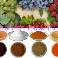 火炭母粉  火炭母浸膏 量大从优