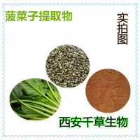 菠菜子提取物 菠菜子浓缩粉 菠菜子浸膏粉 菠菜子浸膏颗粒