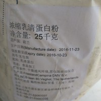 批发食品级荷兰进口浓缩乳清蛋白 粉