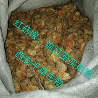 灯笼果浸膏粉易溶 厂家生产动植物提取物定做灯笼果浓缩浸膏颗粒