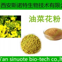油菜花粉 油菜花提取物 提取物 供应中