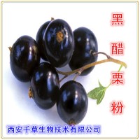 黑醋栗天然提取物 黑醋栗浓缩粉 厂家定制流浸膏颗粒