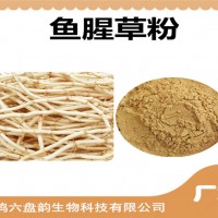 鱼腥草浓缩粉 鱼腥草粉 生产厂家