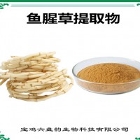 鱼腥草提取物 鱼腥草粉 药食同源 比例提取 可定制生产