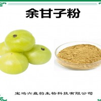 余甘子浓缩粉 余甘子粉 可定制 生产厂家