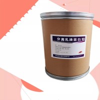 分离乳清蛋生产厂家食品级 分离乳清蛋厂家批发河北润步