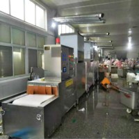 工业微波解冻设备适合国内大型冷冻肉类加工厂