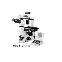 超低价CKX41-A22PHP奥林巴斯显微镜