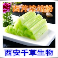 水溶性西芹天然提取物浓缩粉 厂家生产西芹流浸膏