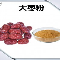 大枣浓缩粉 大枣粉 生产厂家