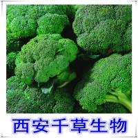 全水溶西兰花天然提取物 厂家专业定制动植物浓缩纯浸膏