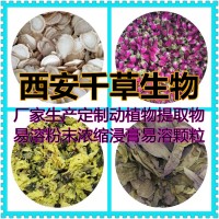 锦灯笼浸膏粉 厂家生产动植物提取物定做锦灯笼浓缩易溶颗粒