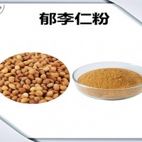 郁李仁浓缩粉 郁李仁粉 生产厂家