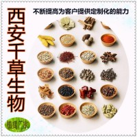 淡豆豉浓缩粉 厂家生产定做五谷熟粉