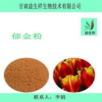 郁金粉 速溶   喷雾干燥 浸膏