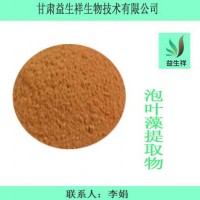 泡叶藻提取物 10:1  泡叶藻多糖