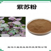 紫苏浓缩粉 紫苏粉 生产厂家