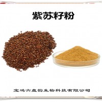 紫苏籽浓缩粉 紫苏籽粉 生产厂家