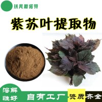 紫苏叶提取物 工厂发货  紫苏叶粉 水溶性好