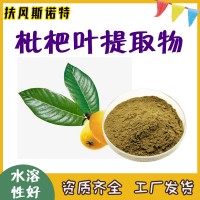 枇杷叶提取物 工厂发货  枇杷叶浸膏 水溶性好