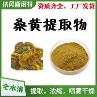 桑黄提取物 工厂发货  桑黄多糖  水溶性好