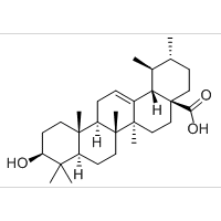 熊果酸98%含量