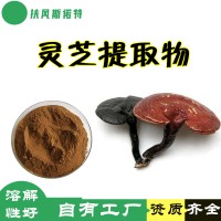 灵芝提取物 工厂发货  灵芝多糖  水溶性好