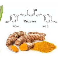 姜黄素98%CAS#458-37-7