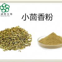 小茴提取物  小茴香浓缩粉 药食同源