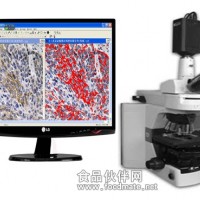 免疫组化显微图像显微影像系统