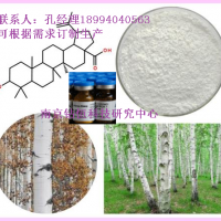白桦酯酸标准品98%含量科研用白桦树皮提取物