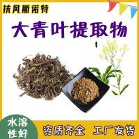 大青叶提取物 工厂发货  大青叶浸膏