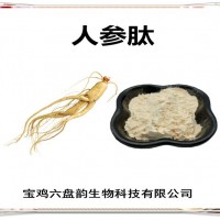 人参提取物 人参肽 厂家发货