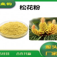松花浓缩粉 松花粉 生产厂家