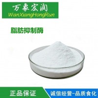 脂肪抑制酶 食品级 酶制剂 促进脂肪分解参与身体新陈代谢