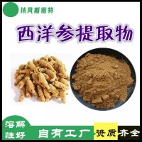 西洋参提取物 自有工厂 西洋参皂甙 微生物合格