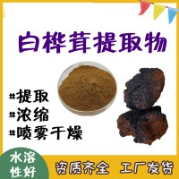 白桦茸提取物 自有工厂 白桦茸多糖 微生物合格