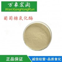 生产厂家 厂家直销 食品级葡萄糖氧化酶批发价格 高含量供应商
