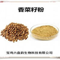 香菜籽浓缩粉 香菜籽粉 生产厂家