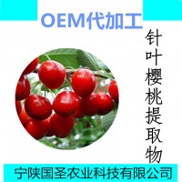 樱桃粉饮品原料樱桃果汁粉厂家批发现货包邮喷雾干燥粉