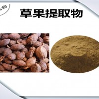 草果提取物 草果粉 药食同源 比例提取 可定制生产