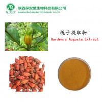 厂家现货供应栀子提取物栀子苷栀子甙15%
