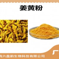 姜黄浓缩粉 姜黄粉 生产厂家