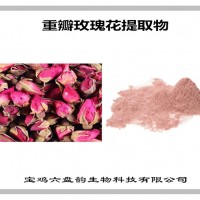 重瓣玫瑰花提取物 重瓣玫瑰花粉 可定制