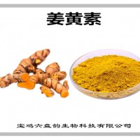 姜黄提取物 姜黄素 植物提取物
